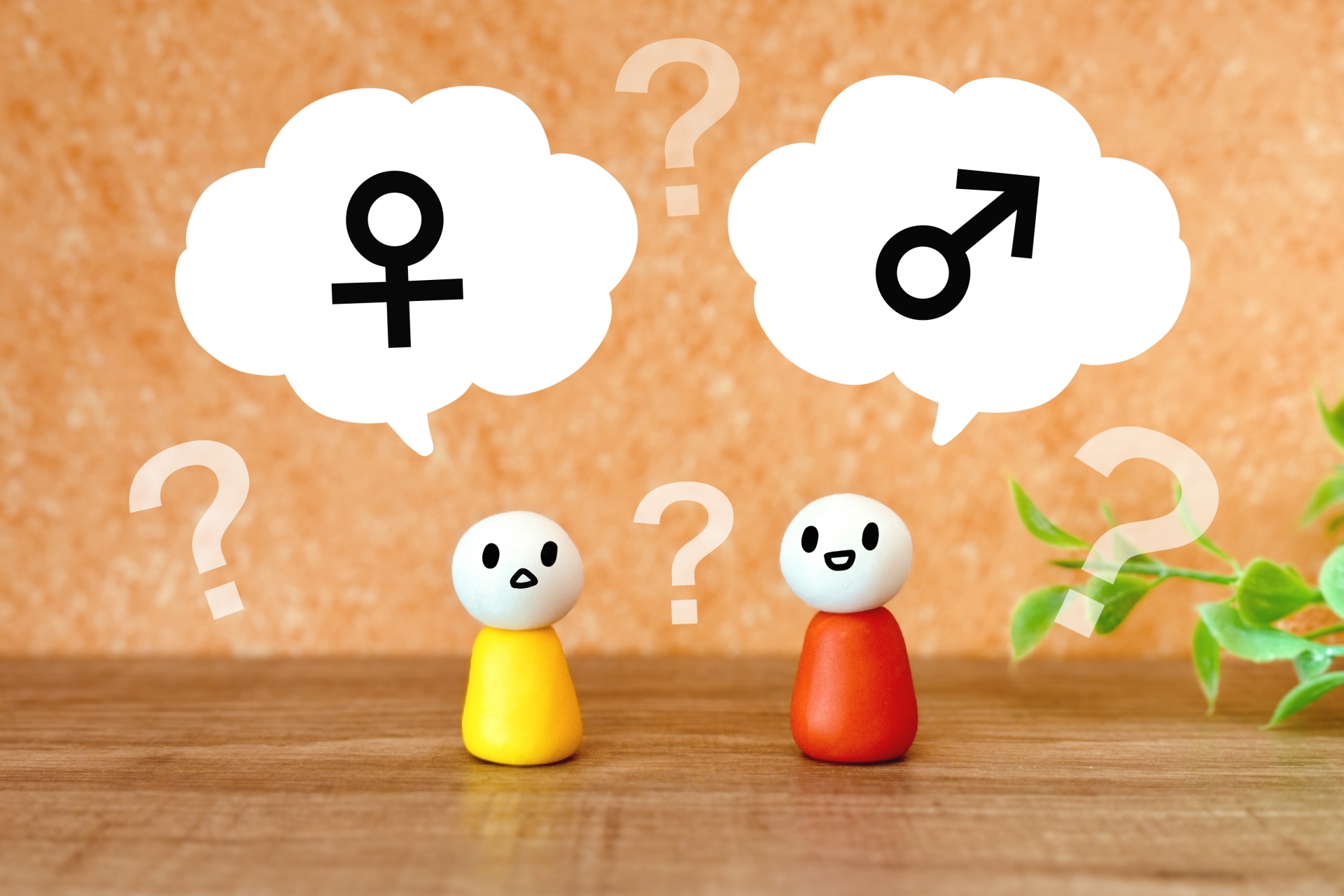 男女の浮気の違い【つくば・土浦の探偵】