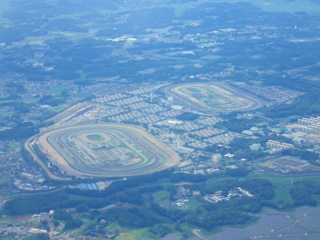 美浦村で浮気調査のご相談はMRS探偵事務所まで