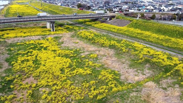 MRS探偵事務所浮気調査のご相談