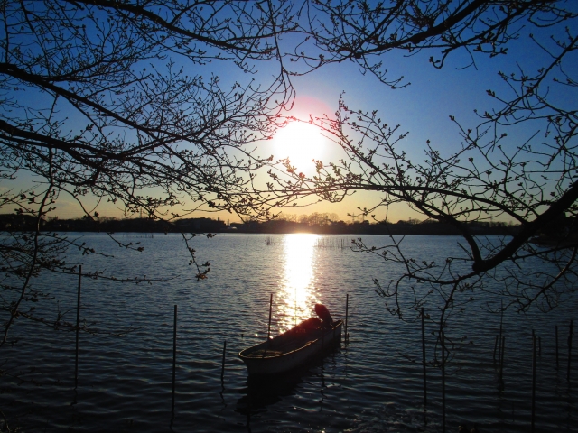 MRS探偵事務所浮気調査のご相談