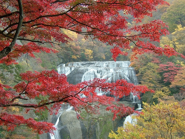 大子町の浮気調査